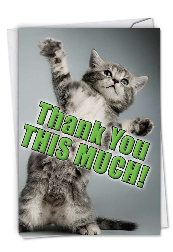 This Much Kitten Petigreet Thank You Card Nobleworks