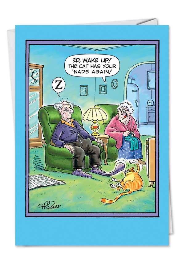 Cat Has Nads Humor Birthday Greeting Card Nobleworks