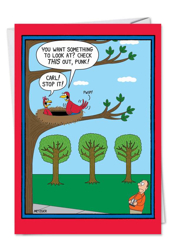 40Th-Birthday-Cartoons Birds Aim Adult Humor Birthday Greeting Card Nobleworks